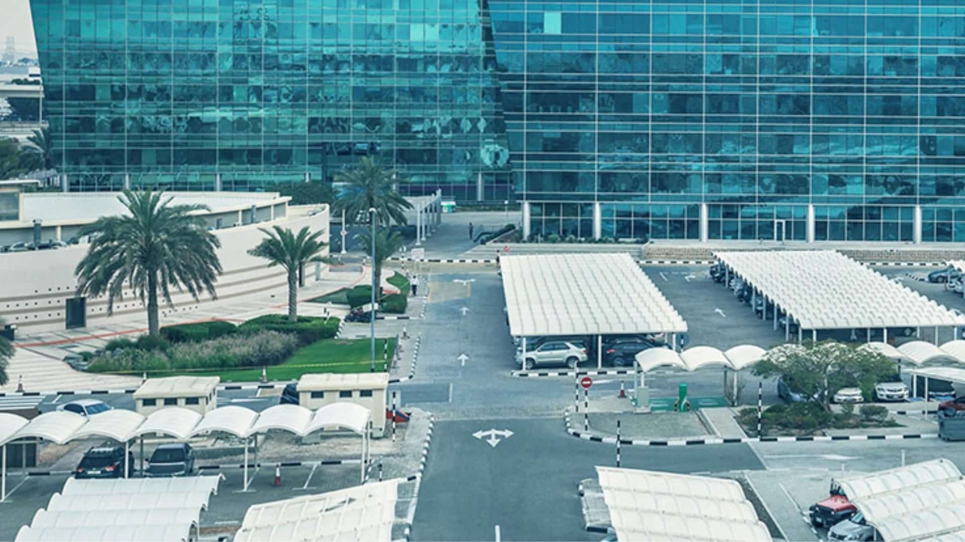Jebel Ali Free Zone (JAFZA) The New Hub for Indian Trade in Dubai