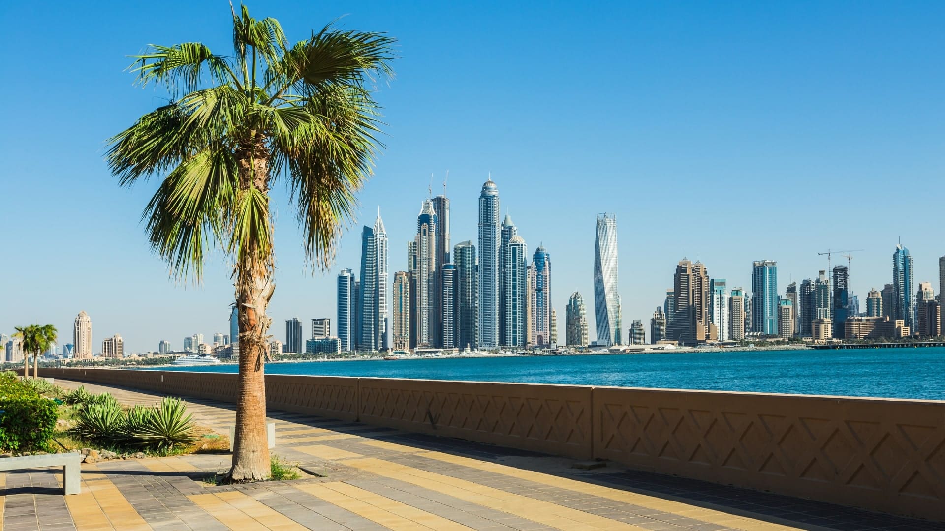 Which Free Zone is the Best in the UAE