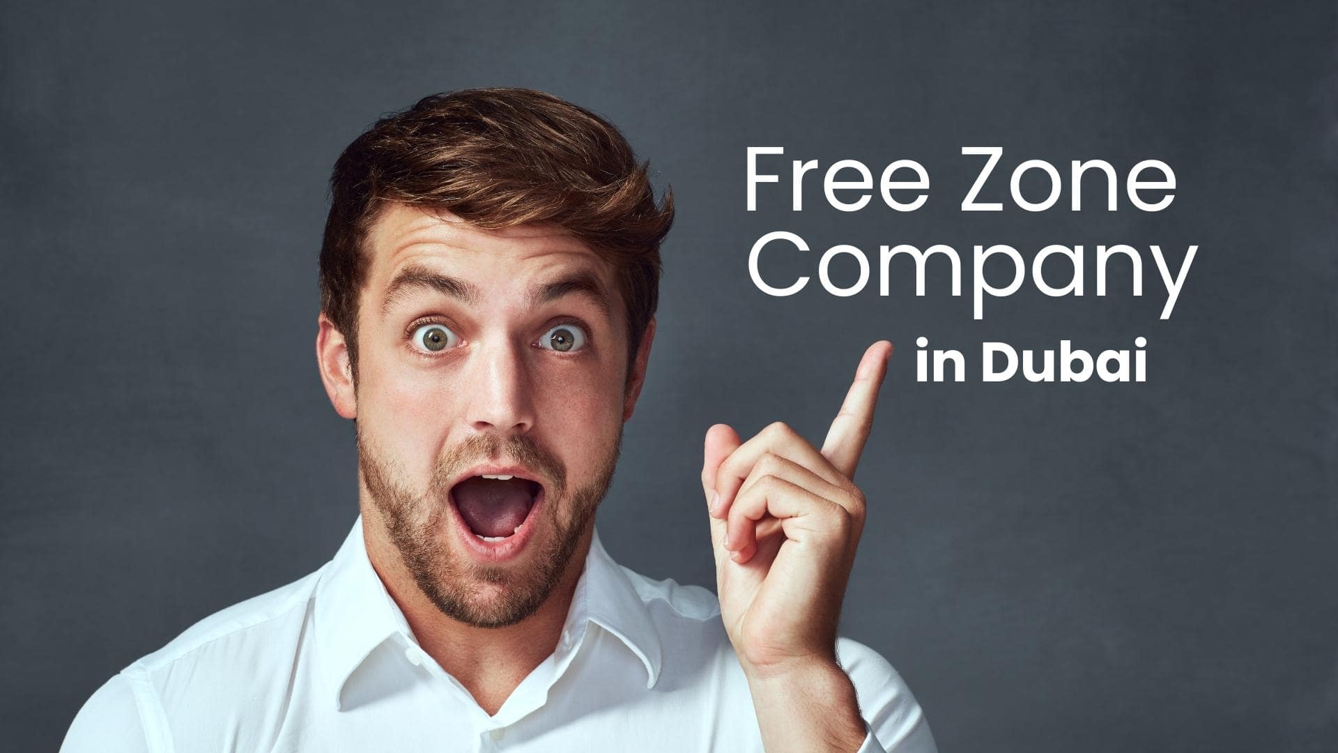 what does free zone company mean in dubai