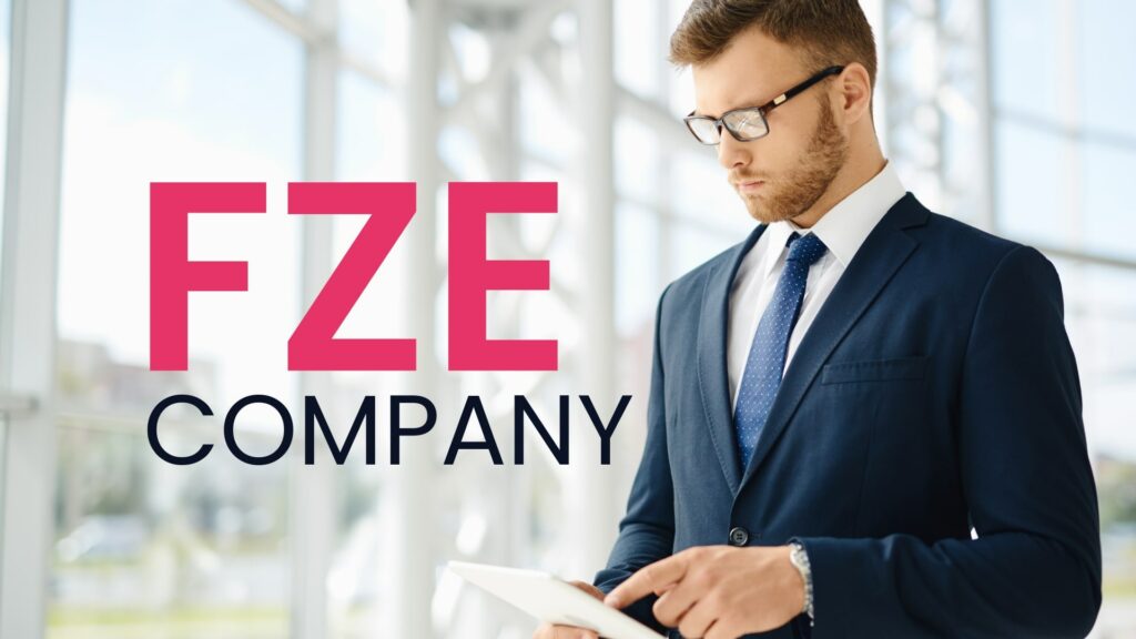 what is fze company