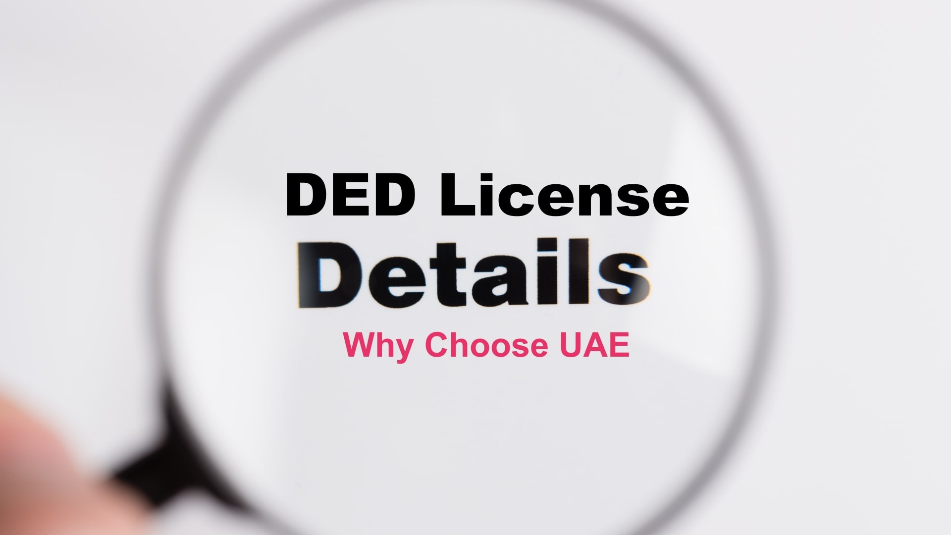 ded license details