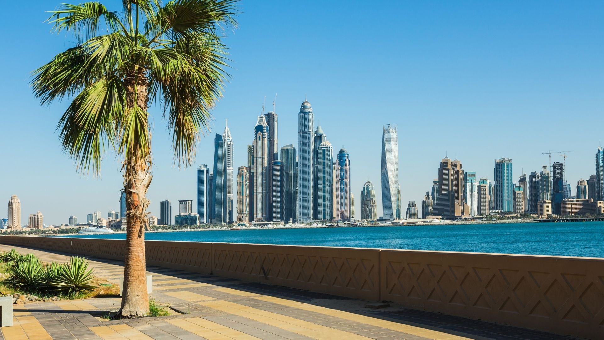 Dubai Mainland vs Free Zone: Which is Better?